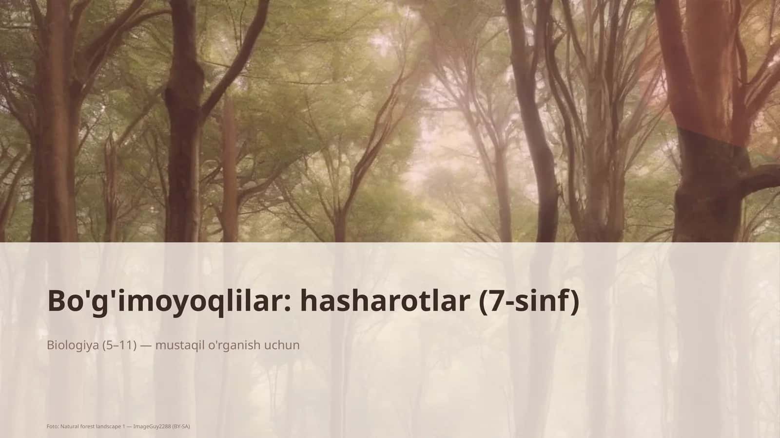 Bo'g'imoyoqlilar: hasharotlar (7-sinf)