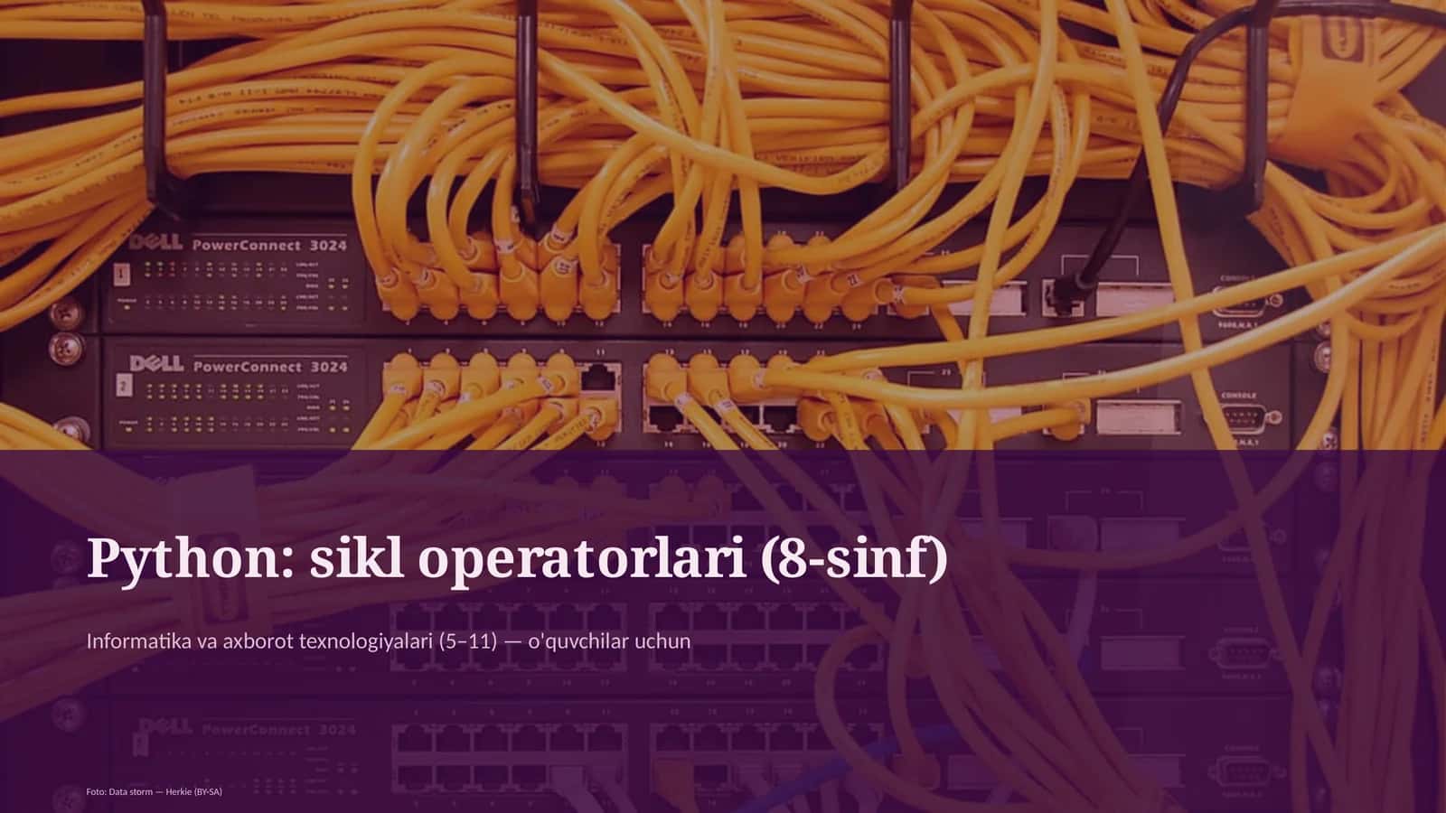 Python: sikl operatorlari (8-sinf)
