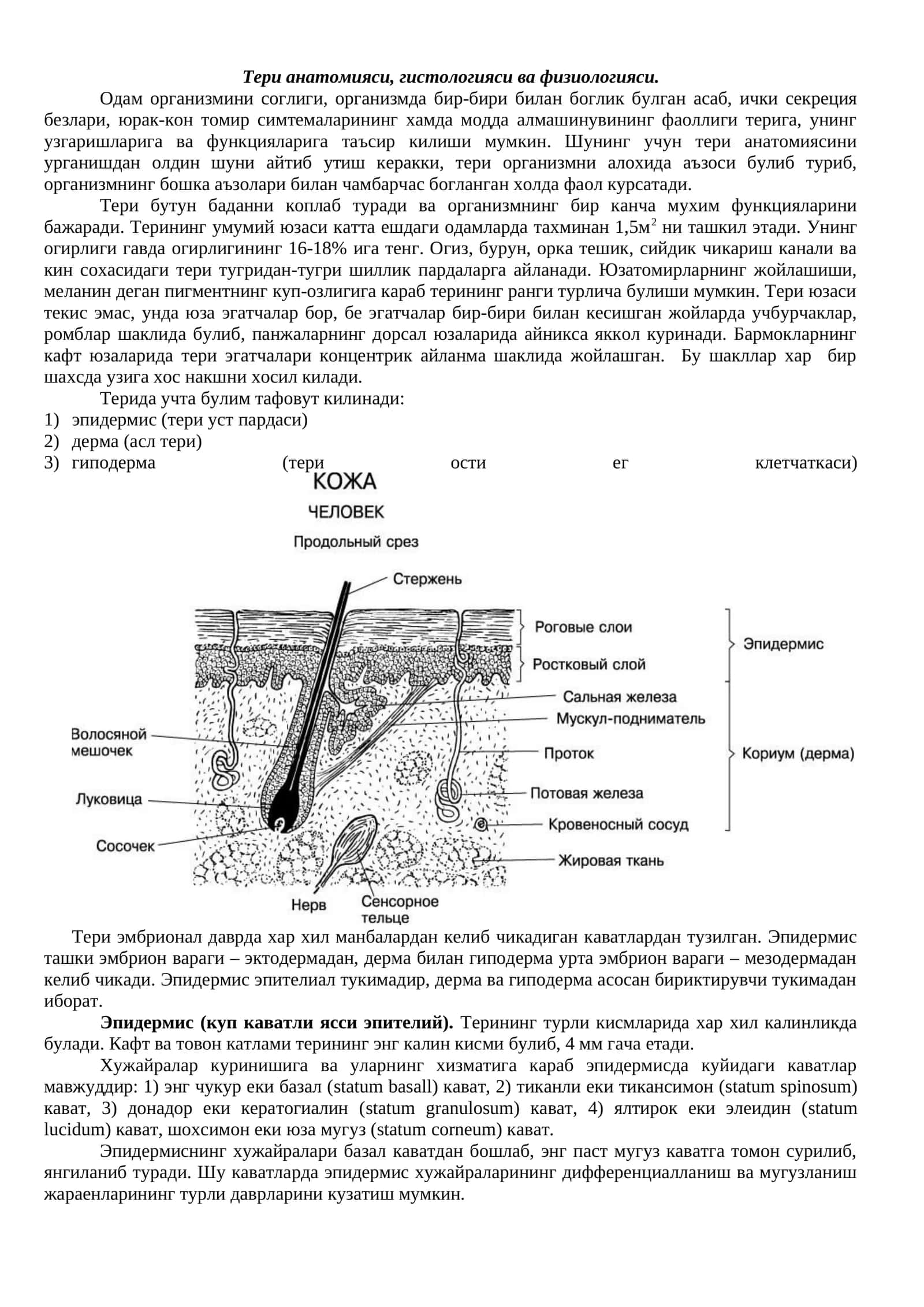 Тери анатомияси, гистологияси ва физиологияси