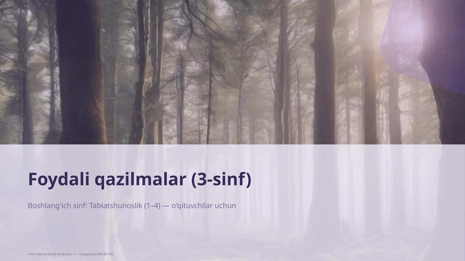Foydali qazilmalar (3-sinf)