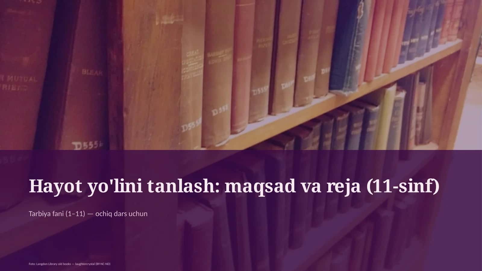 Hayot yo'lini tanlash: maqsad va reja (11-sinf)