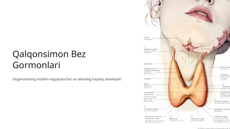 Qalqonsimon Bez Gormonlari