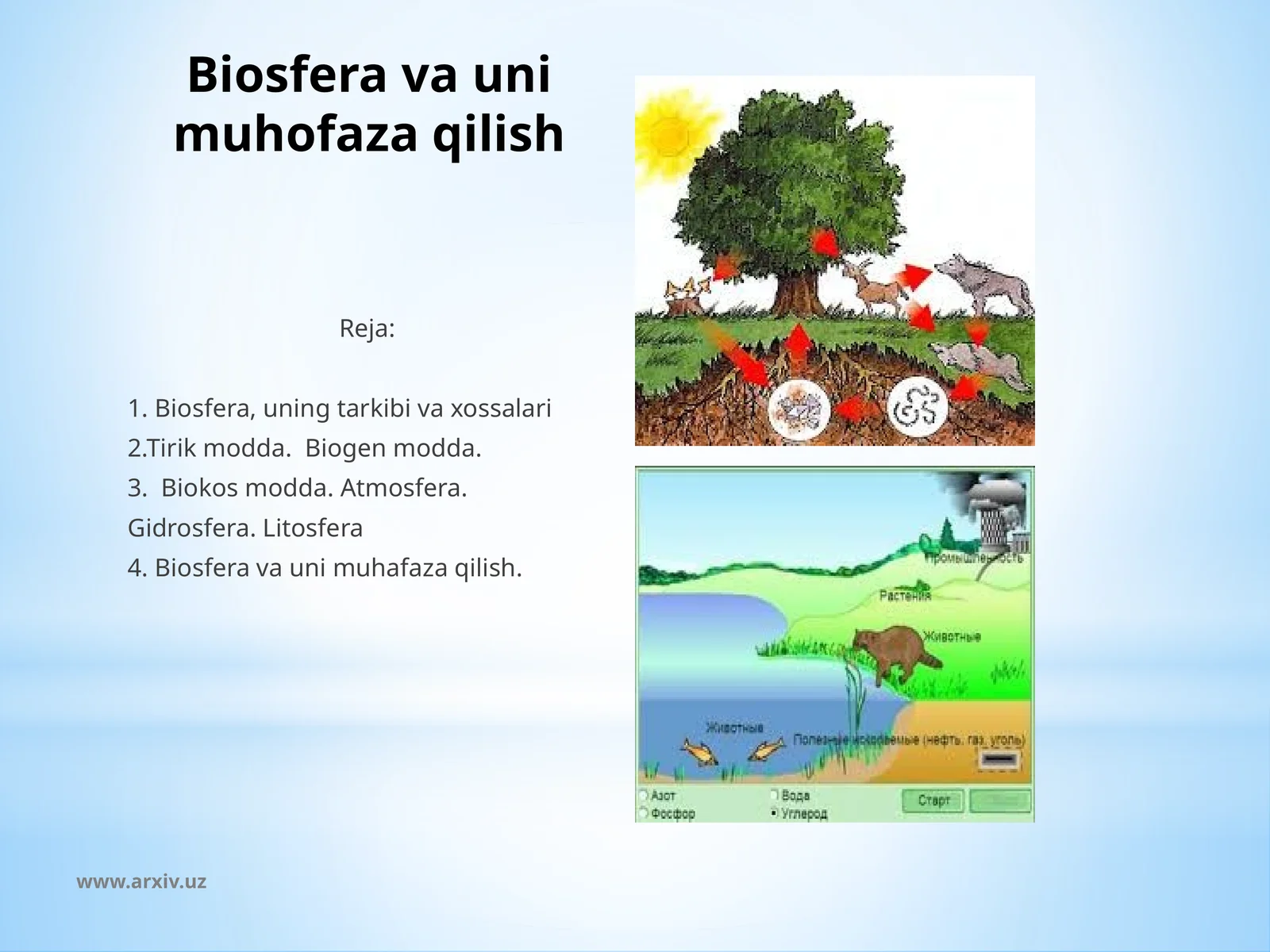Biosfera va uni muhofaza qilish