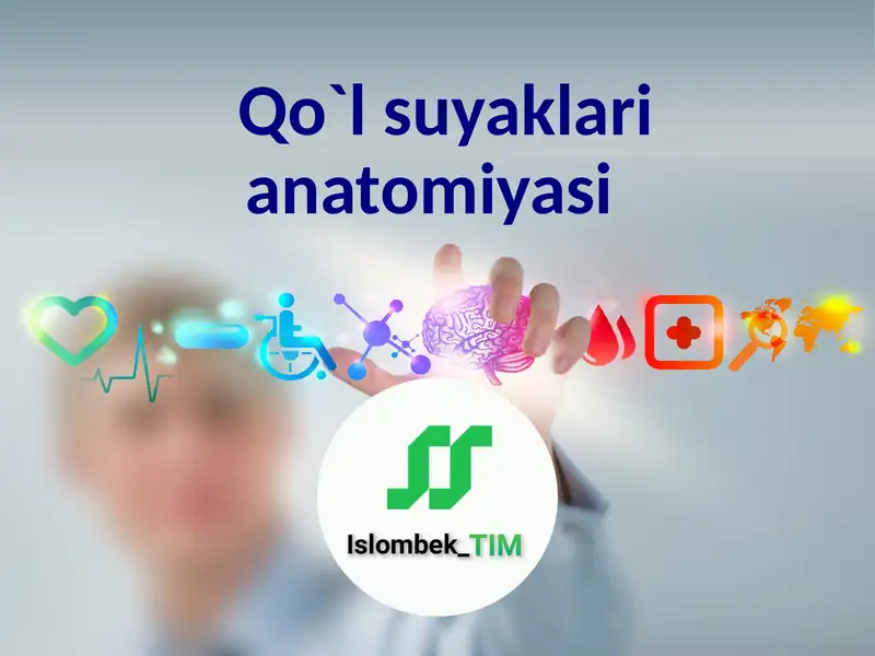 Qo`l suyaklari anatomiyasi