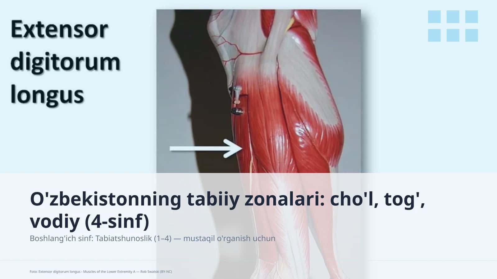 O'zbekistonning tabiiy zonalari: cho'l, tog', vodiy (4-sinf)