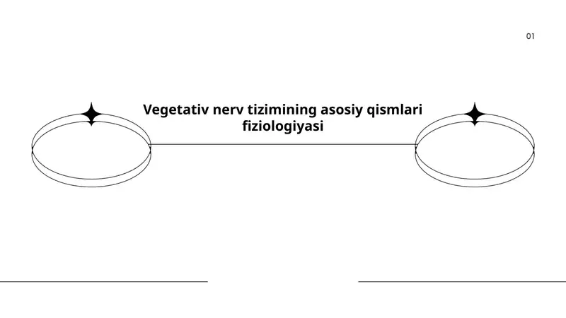 Vegetativ nerv tizimining asosiy qismlari fiziologiyasi