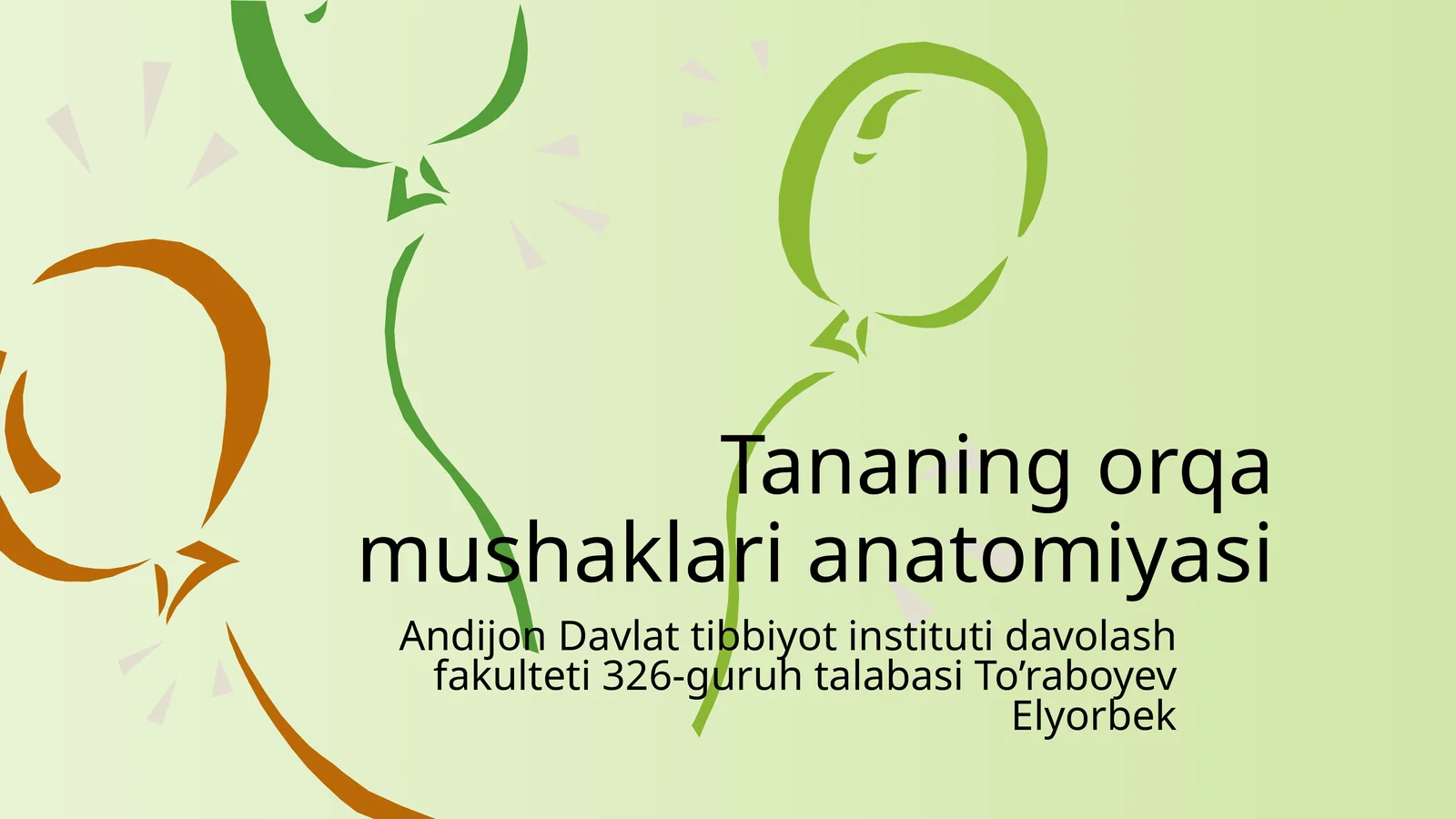 Tananing o'rga mushaklari anatomiyasi