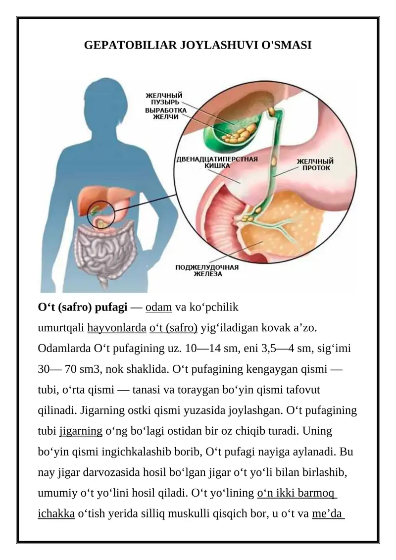 GEPATOBILIAR JOYLASHUVI O'SMASI