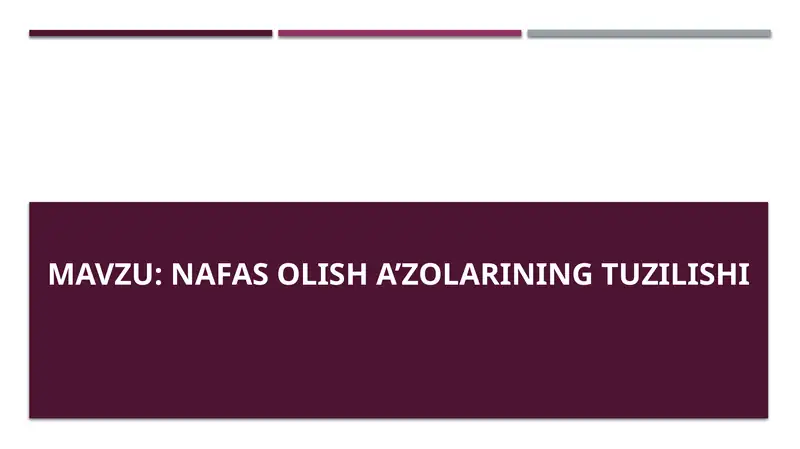 Nafas olish a’zolarining tuzilishi