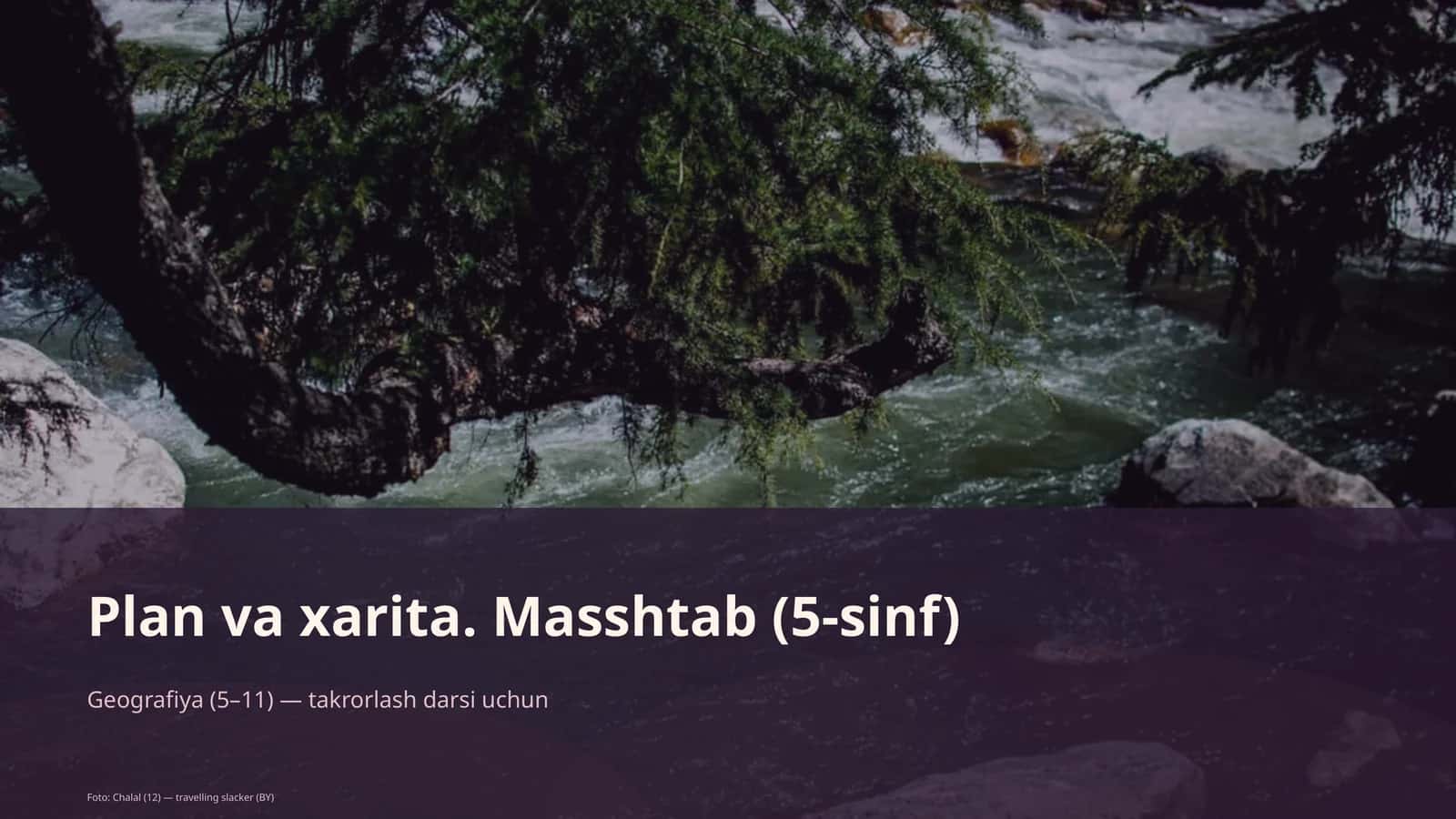 Plan va xarita. Masshtab (5-sinf)