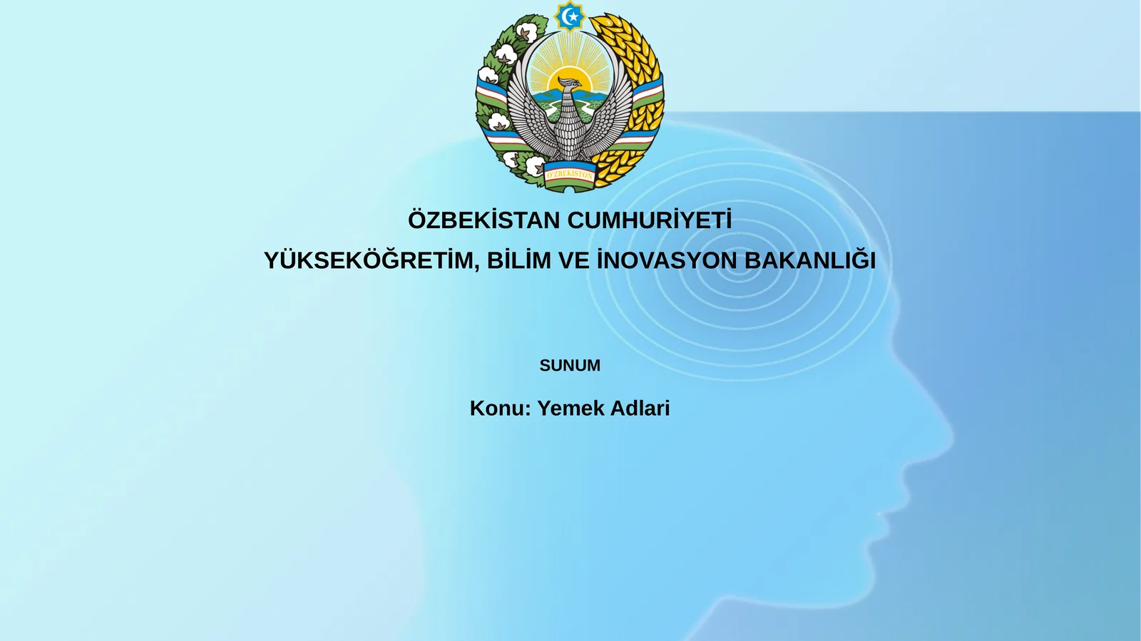 Sunum - Yemek Adlari