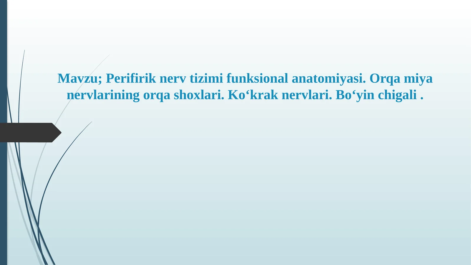 Perifirik nerv tizimi funksional anatomiyasi