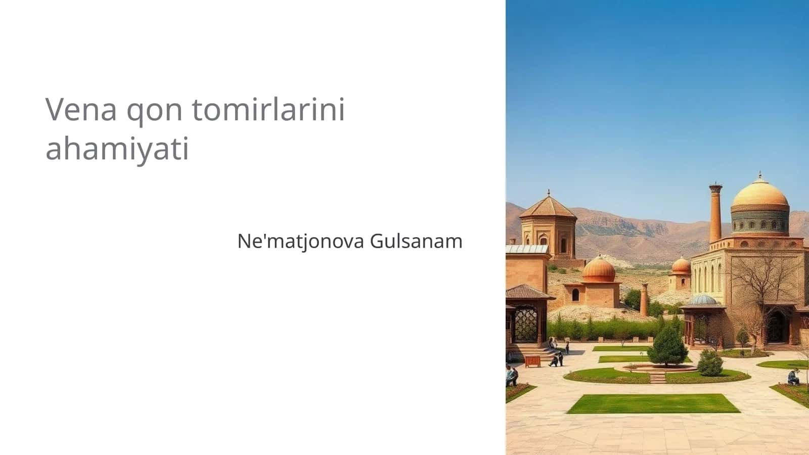 Vena qon tomirlarini ahamiyati