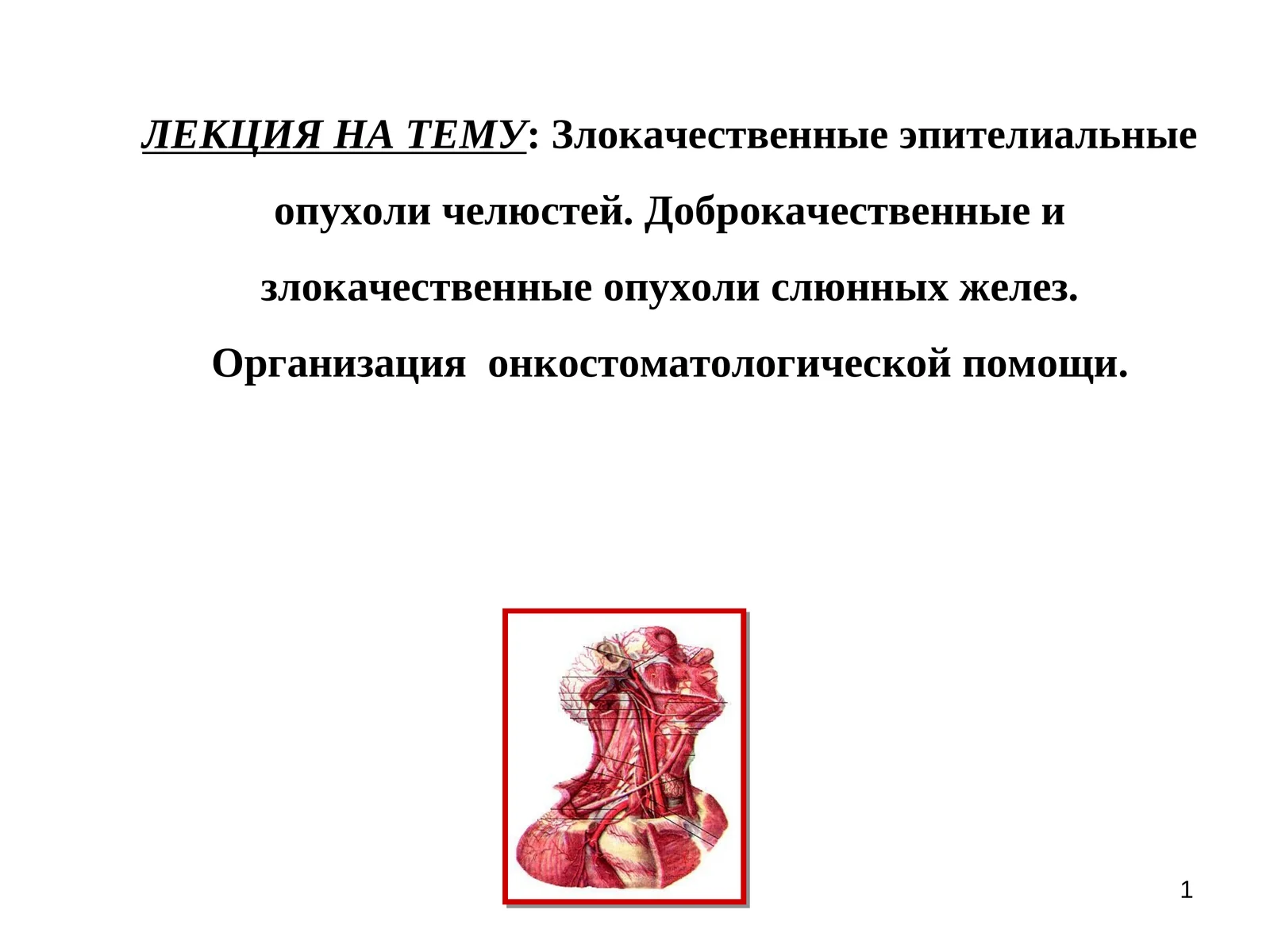 Злокачественные эпителиальные опухоли челюстей