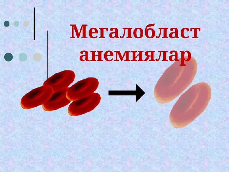 Мегалобласт  анемиялар