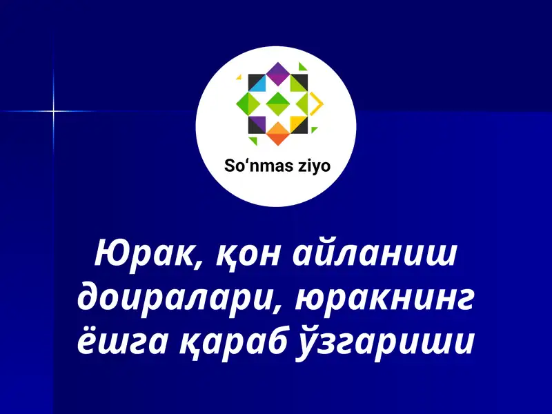 Юрак, қон айланиш доиралари, юракнинг ёшга қараб ўзгариши