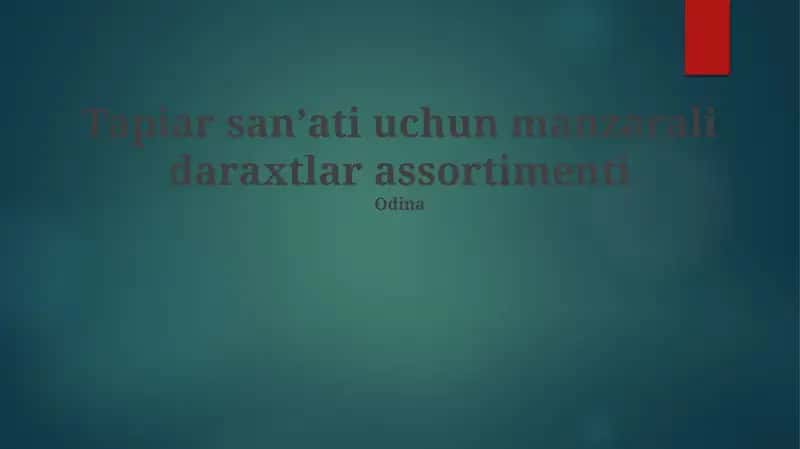 Tapiar sanʼati uchun manzarali daraxtlar assortimenti