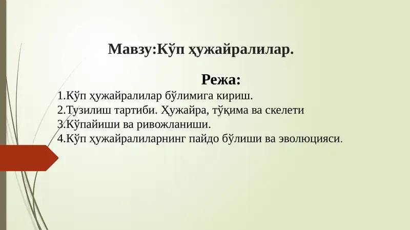 Ko‘p hujayralilar