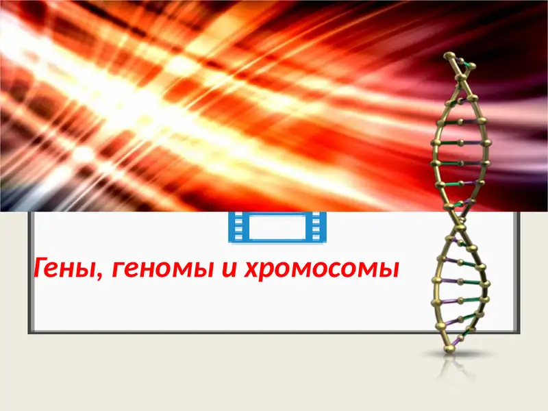 Гены, геномы и хромосомы