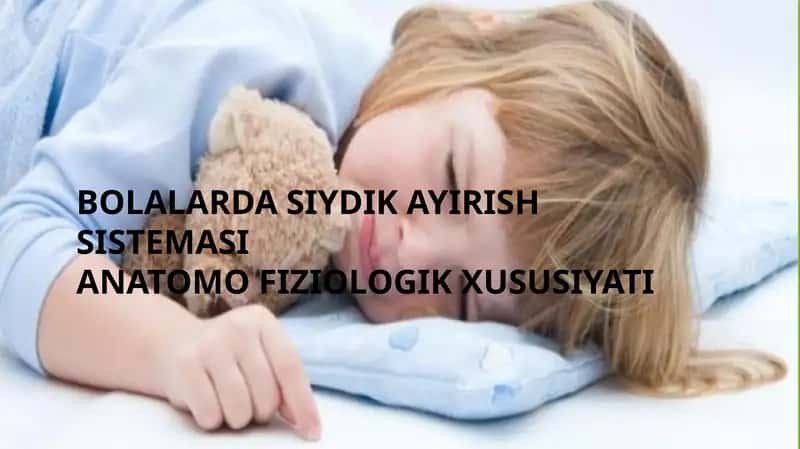 BOLALARDA SIYDIK AYIRISH SISTEMASI ANATOMO FIZIOLOGIK XUSUSIYATI