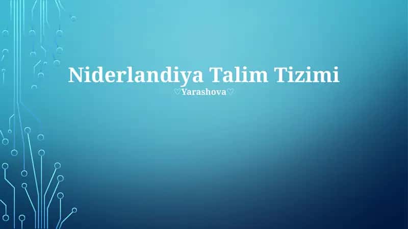 Niderlandiya Talim Tizimi