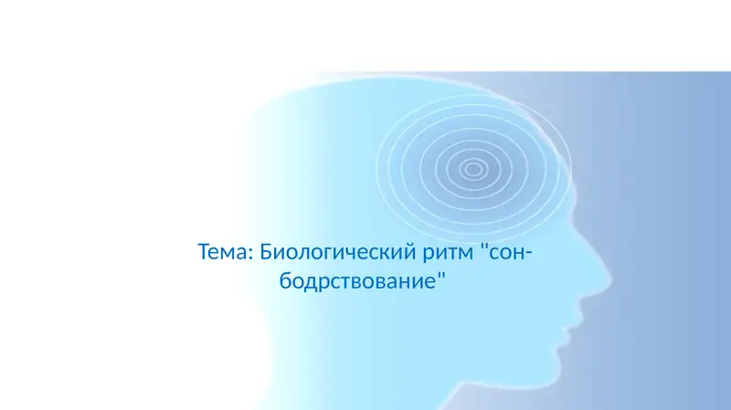 Биологический ритм сон-бодрствование