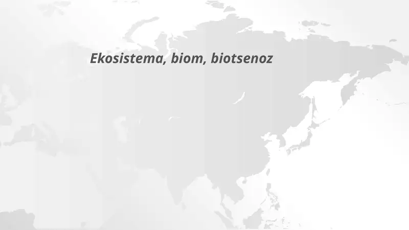 Ekosistema, biom, biotsenoz