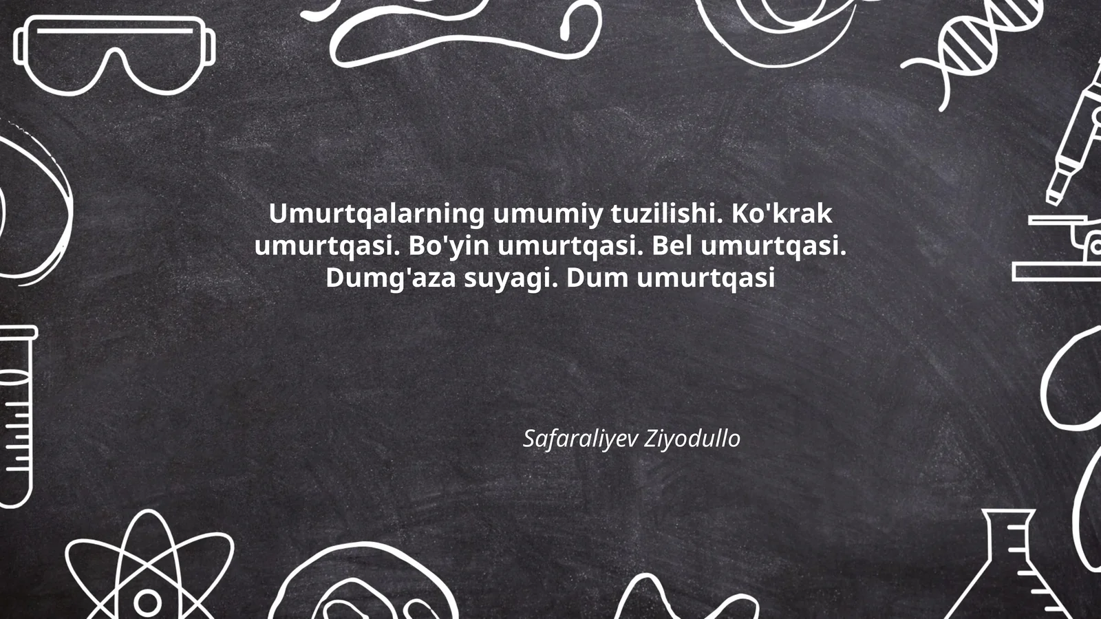 Umurtqalarning umumiy tuzilishi
