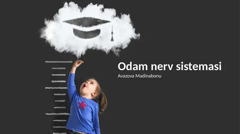 Odamlar Nerv tizimi