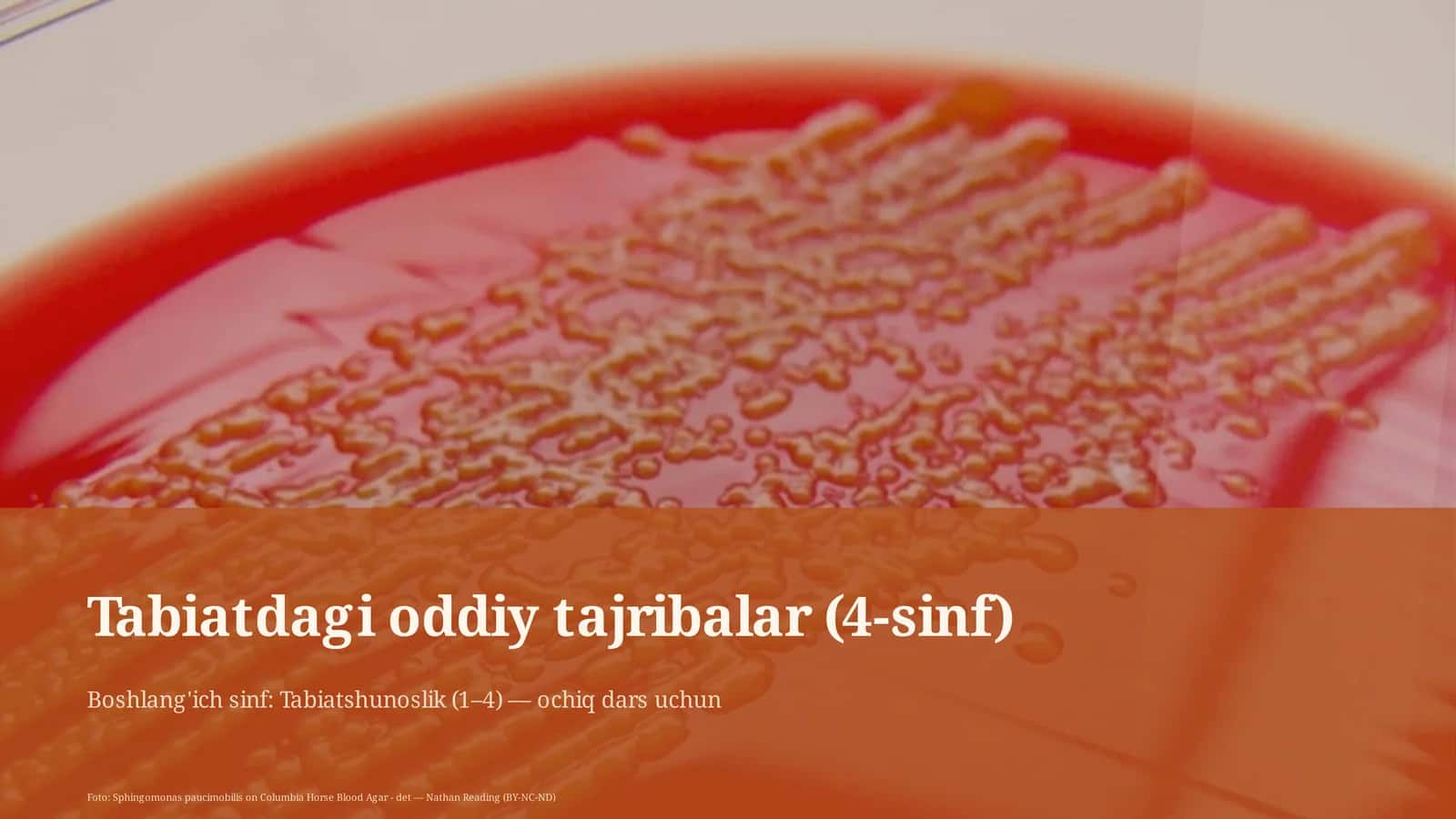Tabiatdagi oddiy tajribalar (4-sinf)