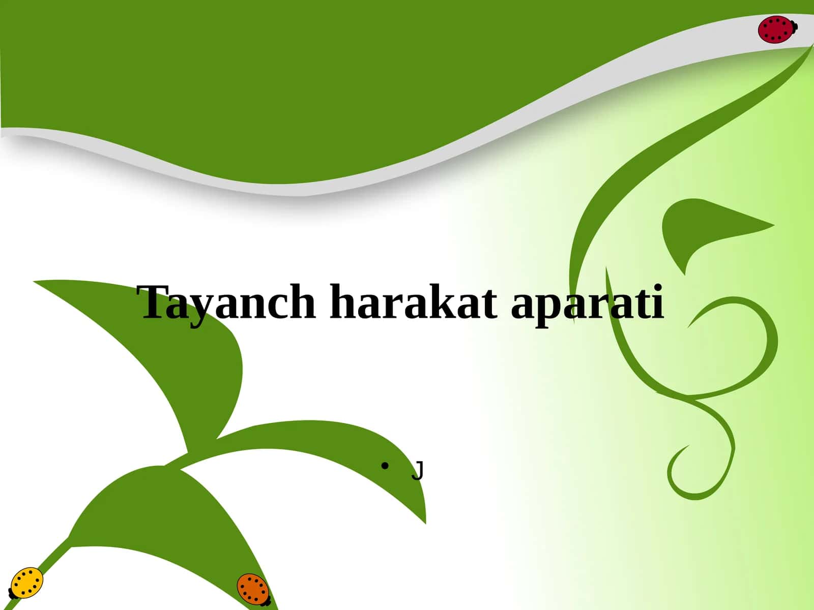 Tayanch harakat apparati
