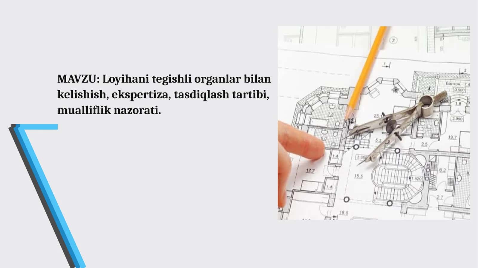 Loyiha ekspertizasi: turlari, tartibi, xulosasi