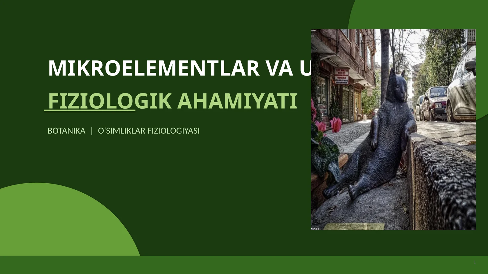 Mikroelementlar va ularning fizsiologik ahamiyati