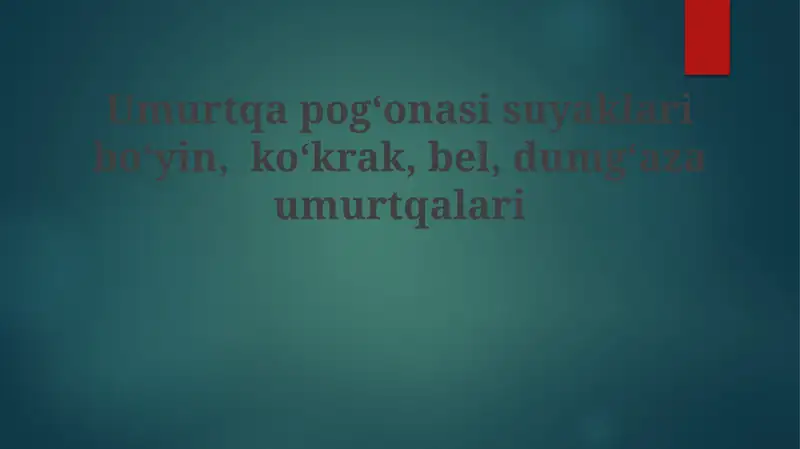 Umurtqa pog'onasi suyaklariboʻyin,koʻkrak,bel,dumgʻazaumurtqalari