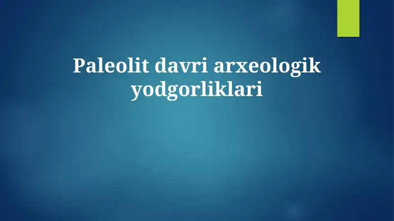 Paleolit davri arxeologik yodgorliklari
