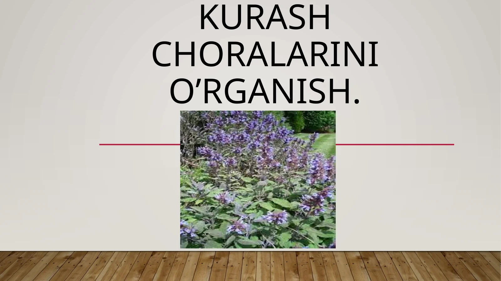 Mavrak o’simligi zararkunandalari va kasalliklari aniqlash haqda kurash choralarini o’rganish