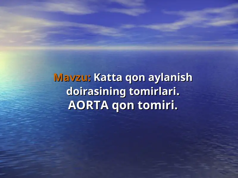 AORTA qon tomiri