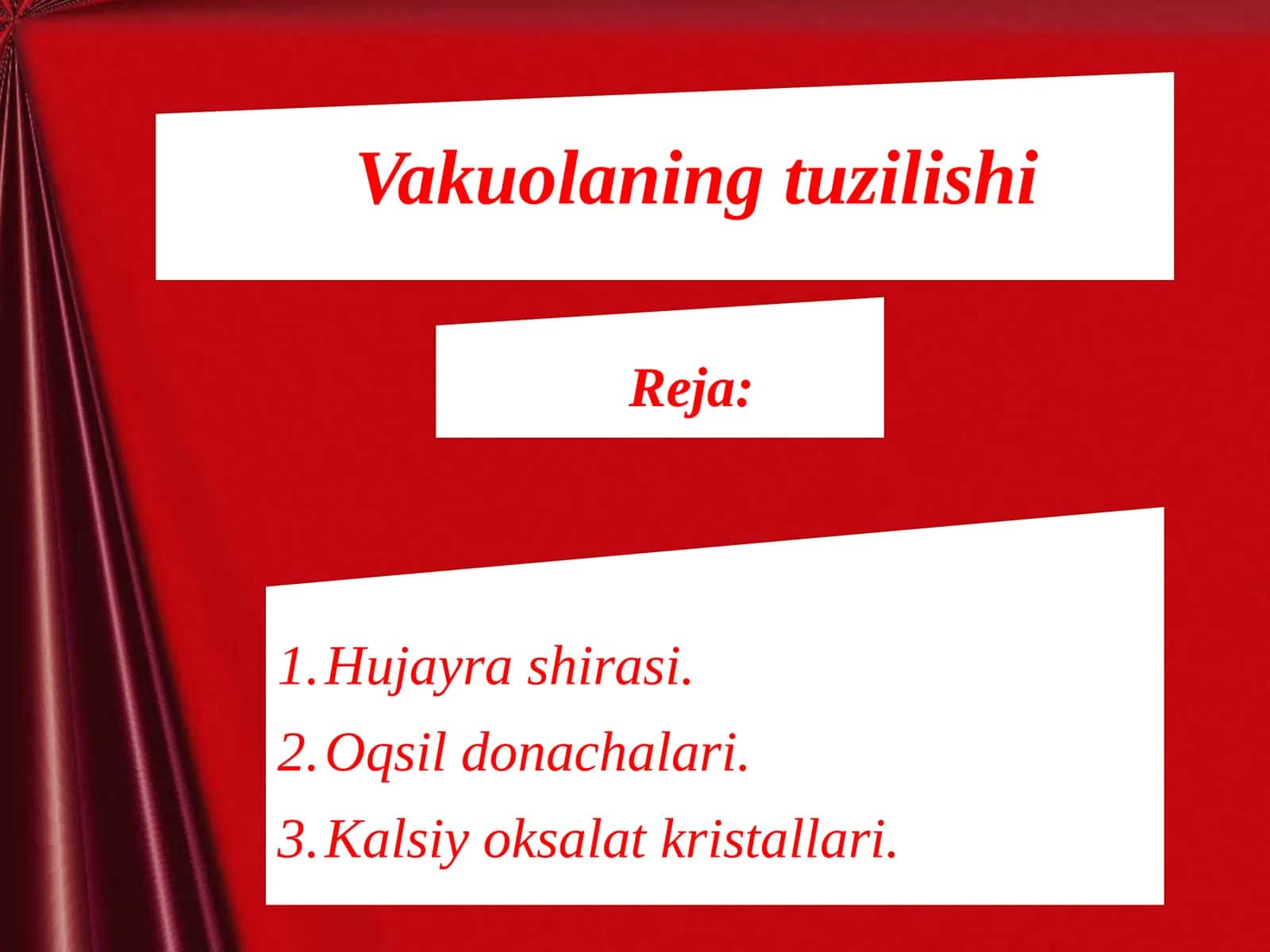 Vakuolaning tuzilishi