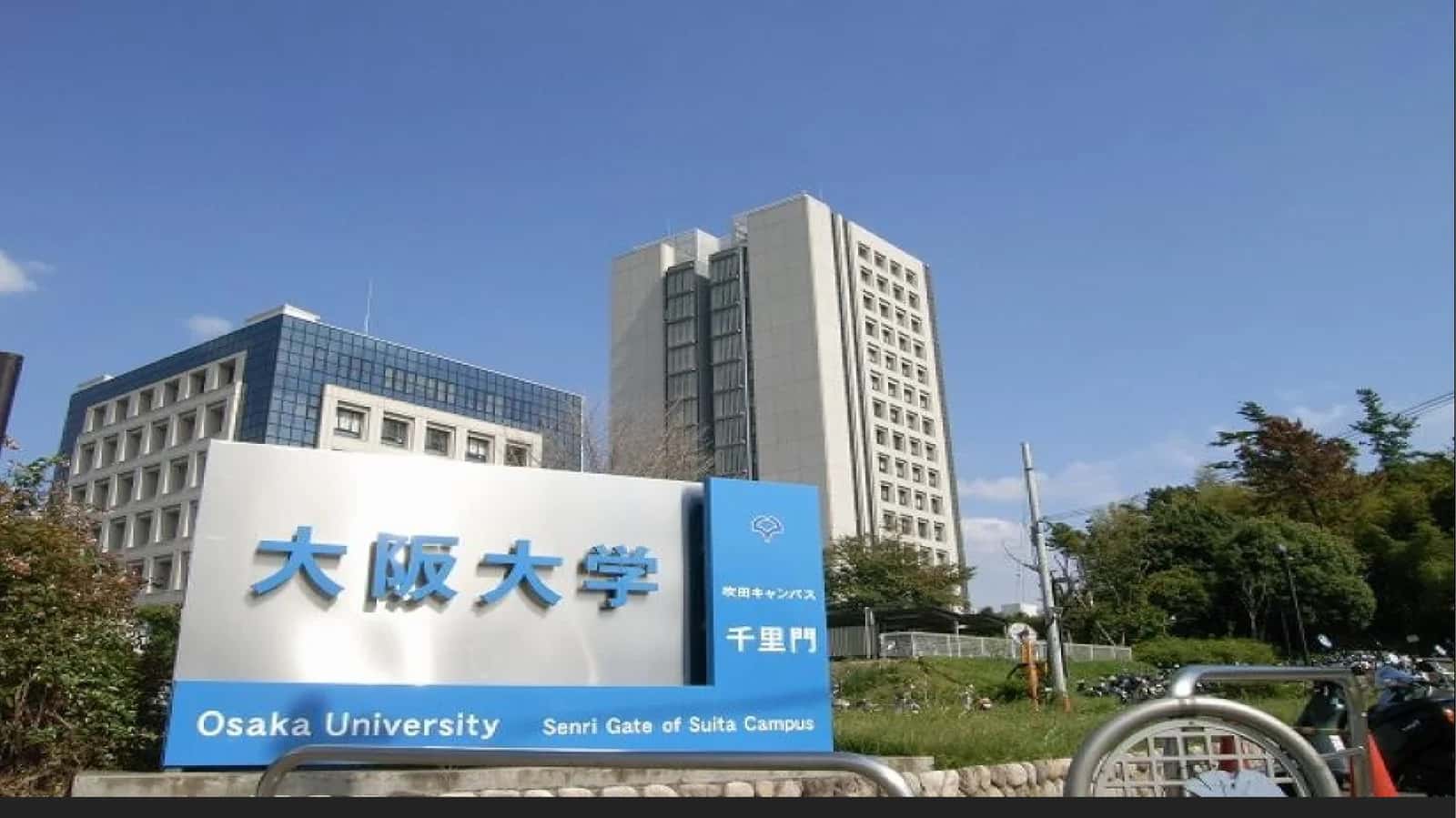 Universitet tarixi