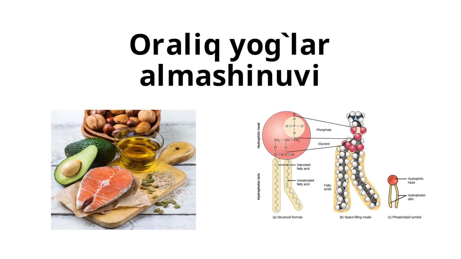 Oraliq yog'larning almashinuvi