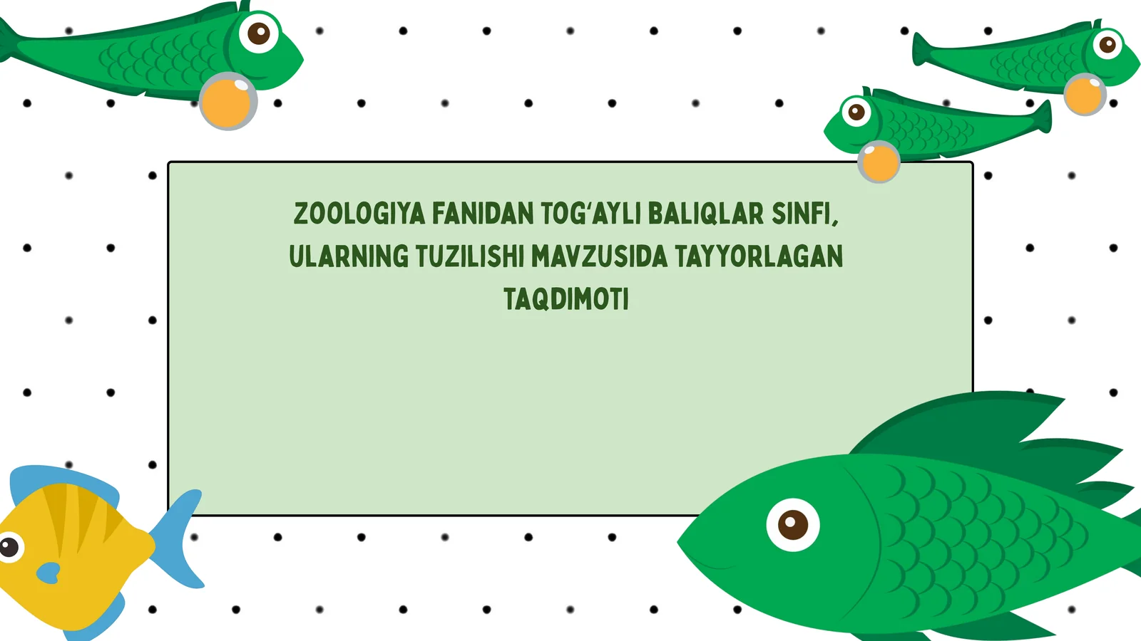 Togʻayli baliqlar sinfi taqdimoti