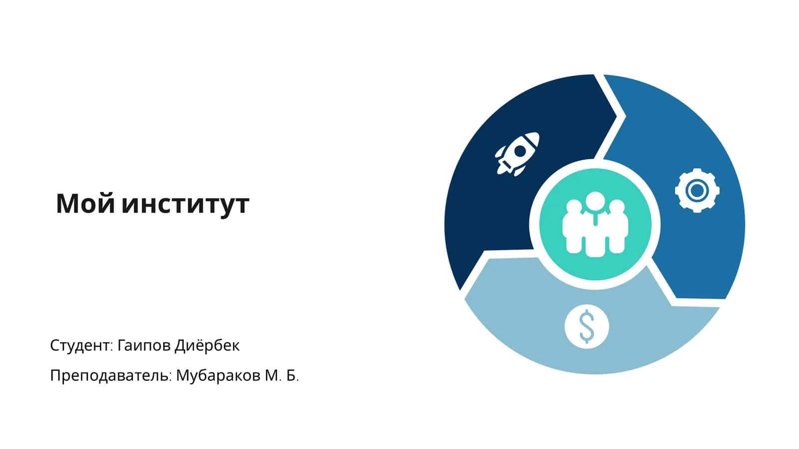 Мой институт