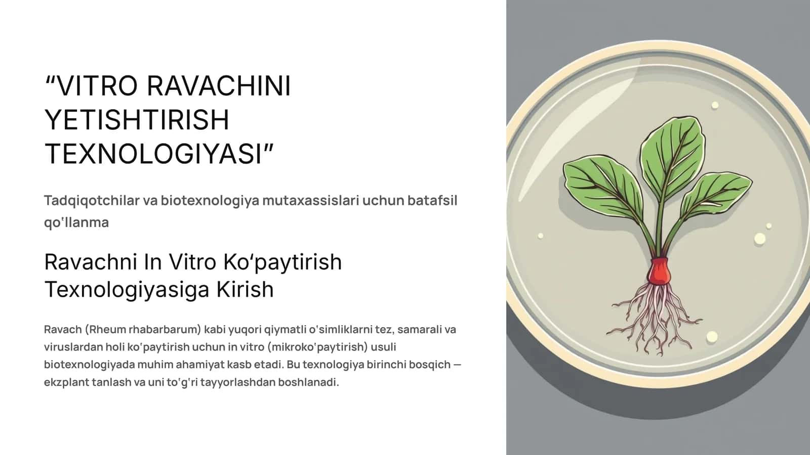 VITRO RAVACHINI YETISHTIRISH TEXNOLOGIYASI