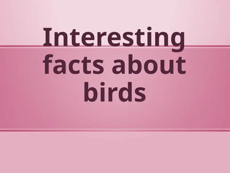 Interesting facts about birds