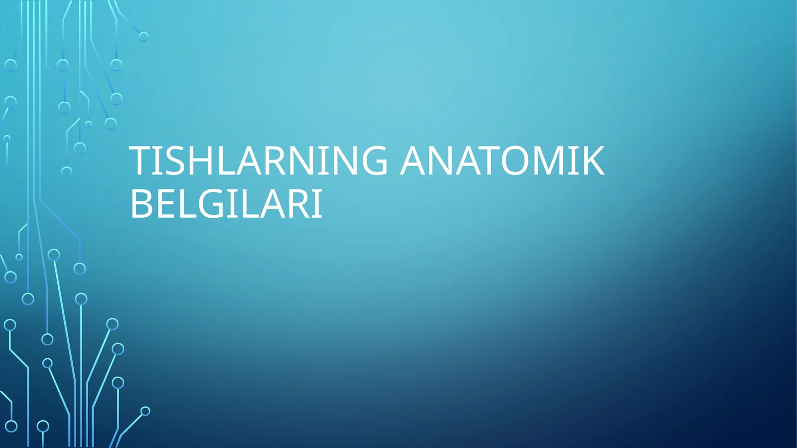 Tishlar anatomiyasi