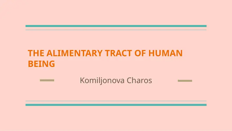 THE ALIMENTARY TRACT OF HUMAN BEING