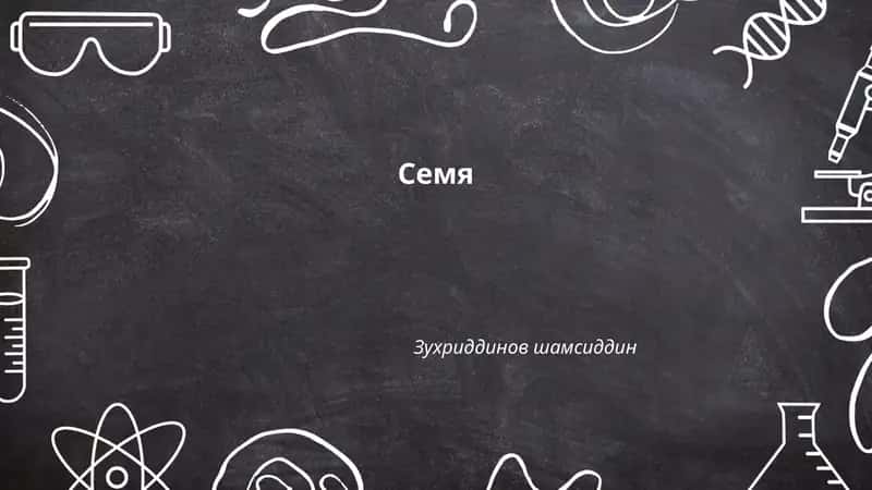 Семя