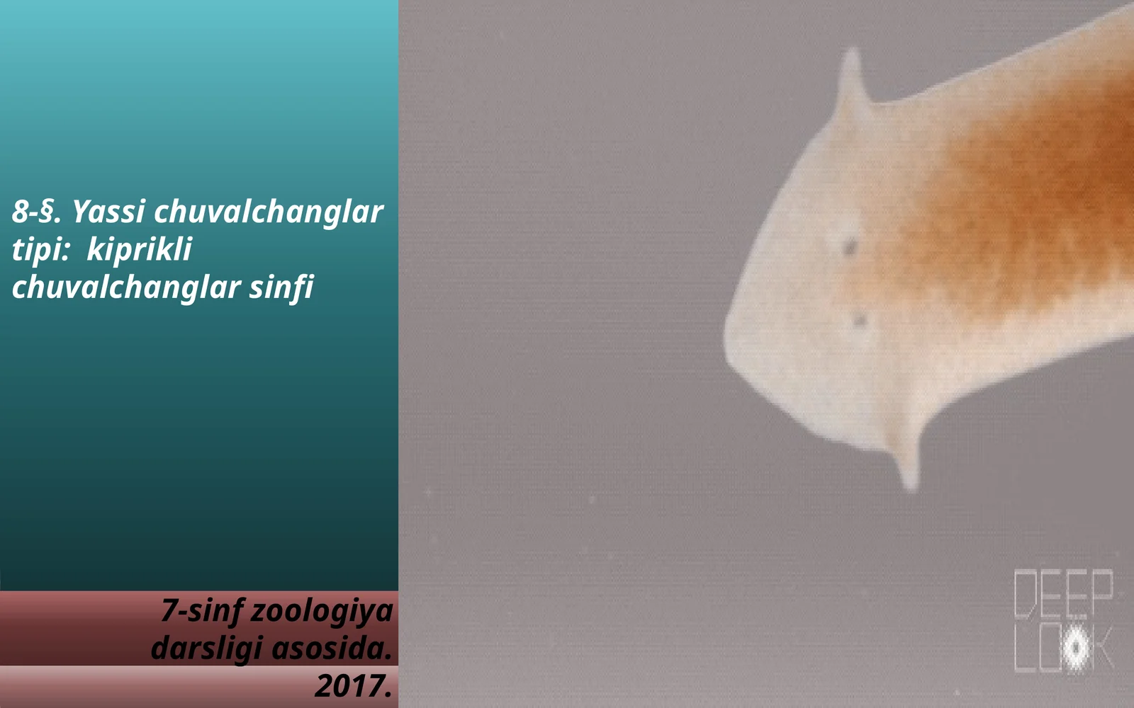 7-sinf Zoologiya 'Yassi chuvalchanglar tipi kiprikli chuvalchanglar sinfi' ko'rgazma