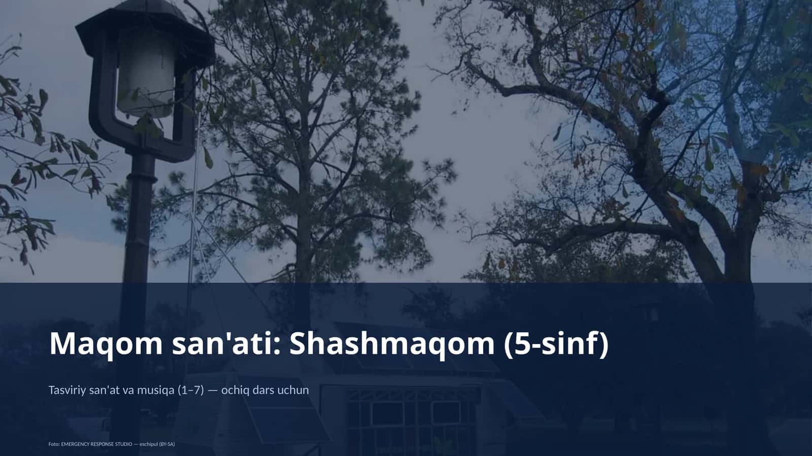 Maqom san'ati: Shashmaqom (5-sinf)