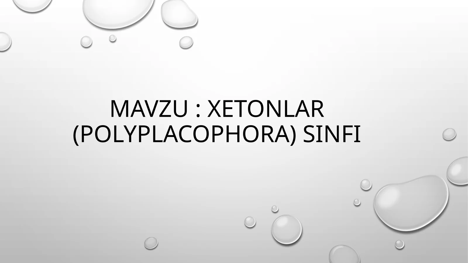 xetonlar (POLYPLACOPHORA) SINFI